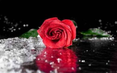 1561336928762910.jpg 2.jpg